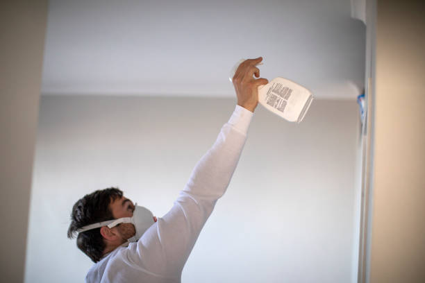 Best Industrial Mold Remediation in Chilton, WI